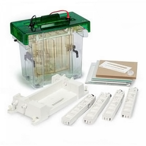 Bio-Rad Protean ll xi