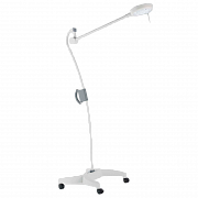 MS Westfalia Blanc Q/Q+/Q0