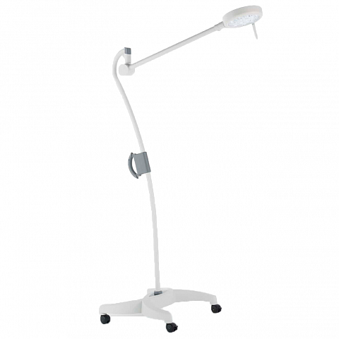 MS Westfalia Blanc Q/Q+/Q0