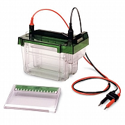 Bio-Rad Criterion Cell