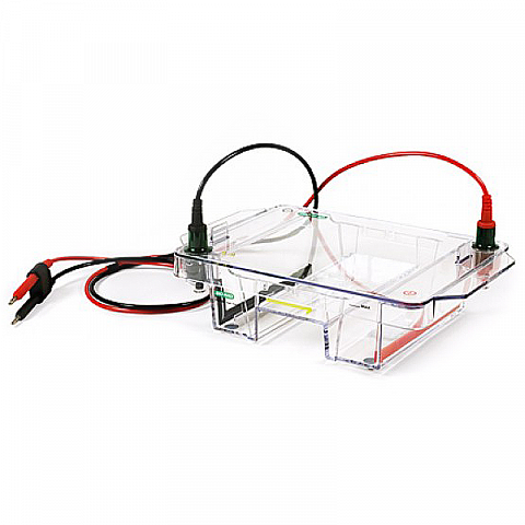Bio-Rad Wide Mini-Sub Cell GT