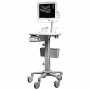 Siemens Acuson Freestyle