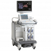 Hitachi F75 Premier