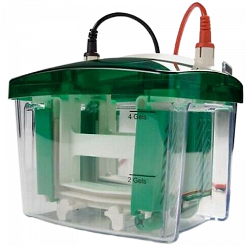 Bio-Rad Mini-Protean Tetra