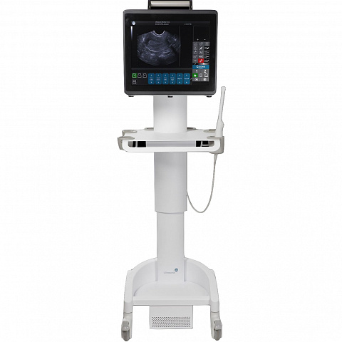UltraSonix SonixOne Q+