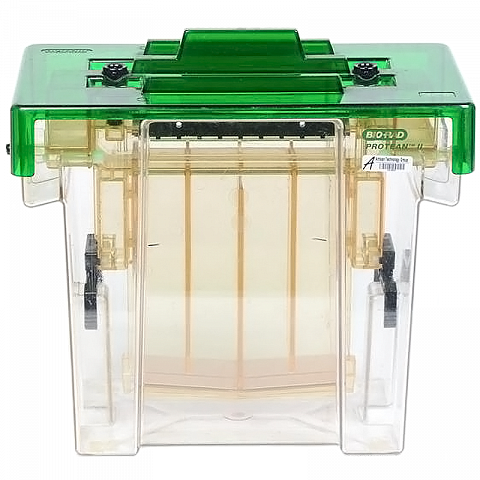 Bio-Rad Protean ll XL