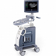 GE Healthcare Voluson P8